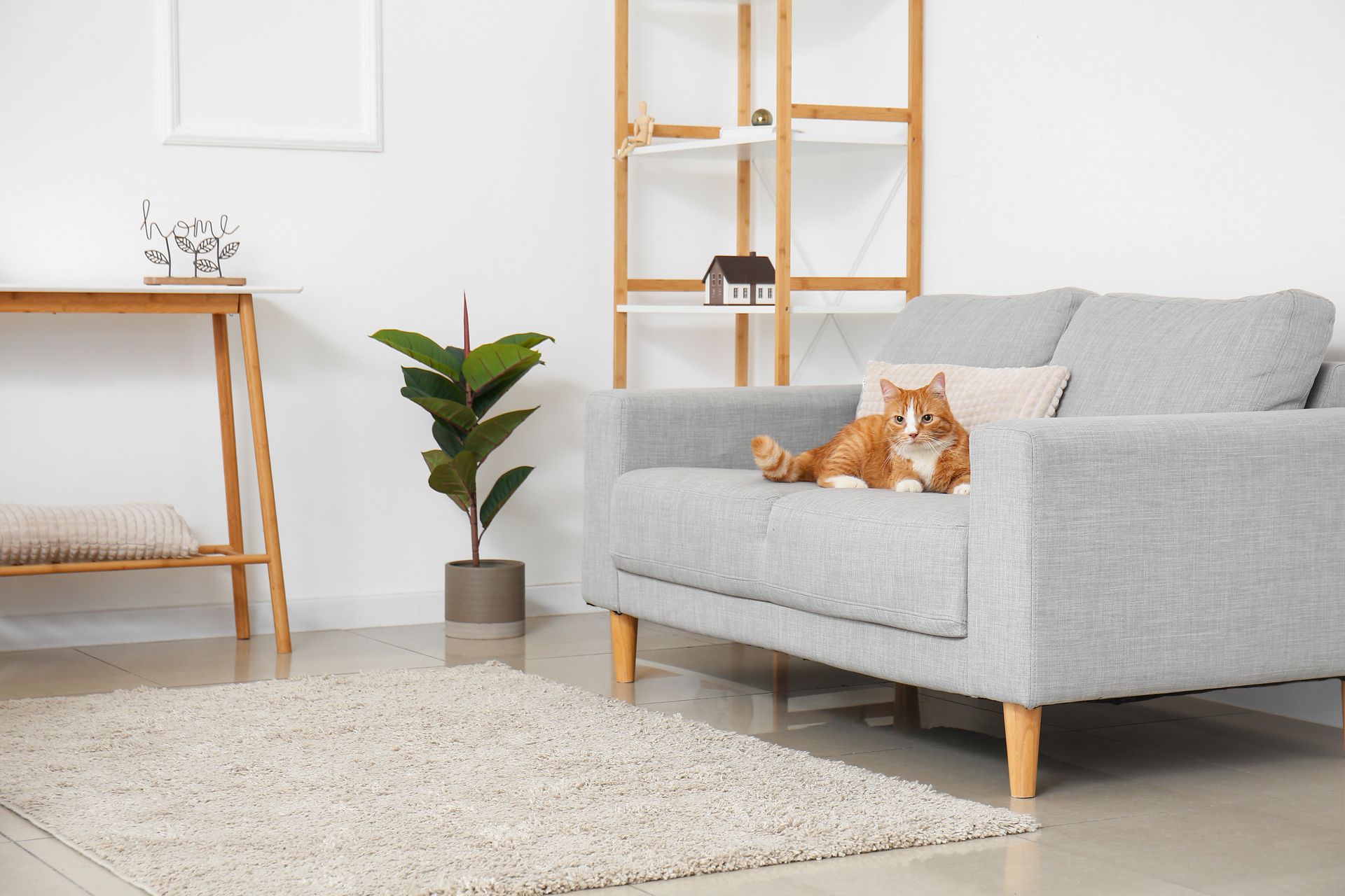 A cat is laying on a couch in a living room.