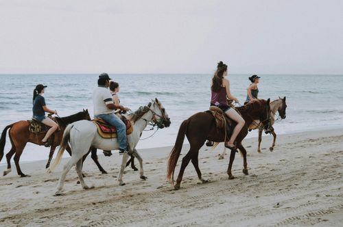 Four people riding horses along a sandy beach with the ocean in the background.