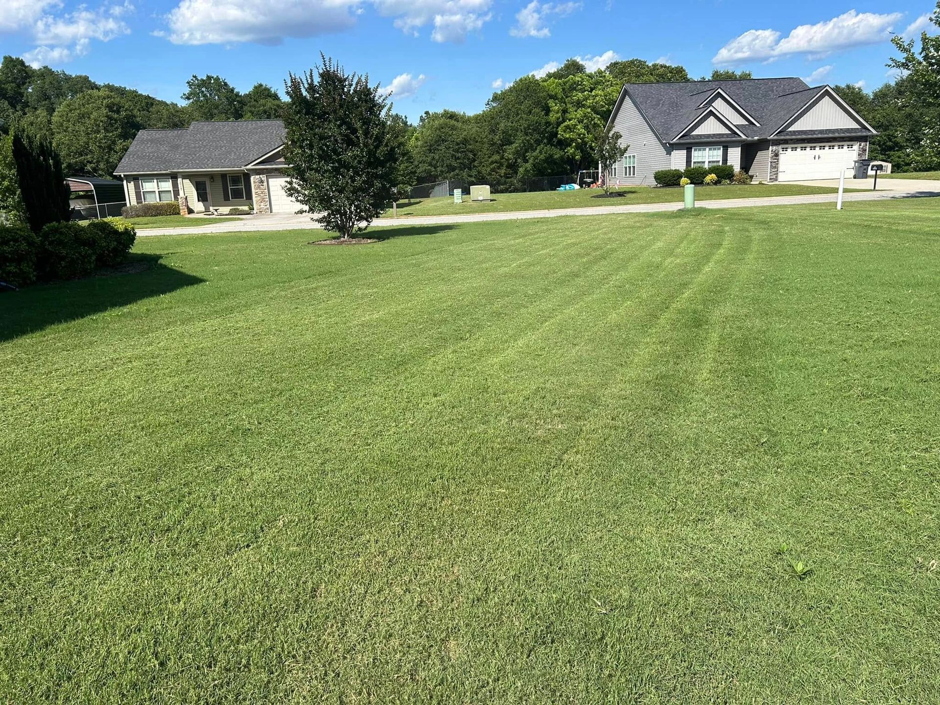 A large lush green field with a house in the background.