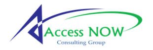 A blue and green logo for Access Now Consulting.