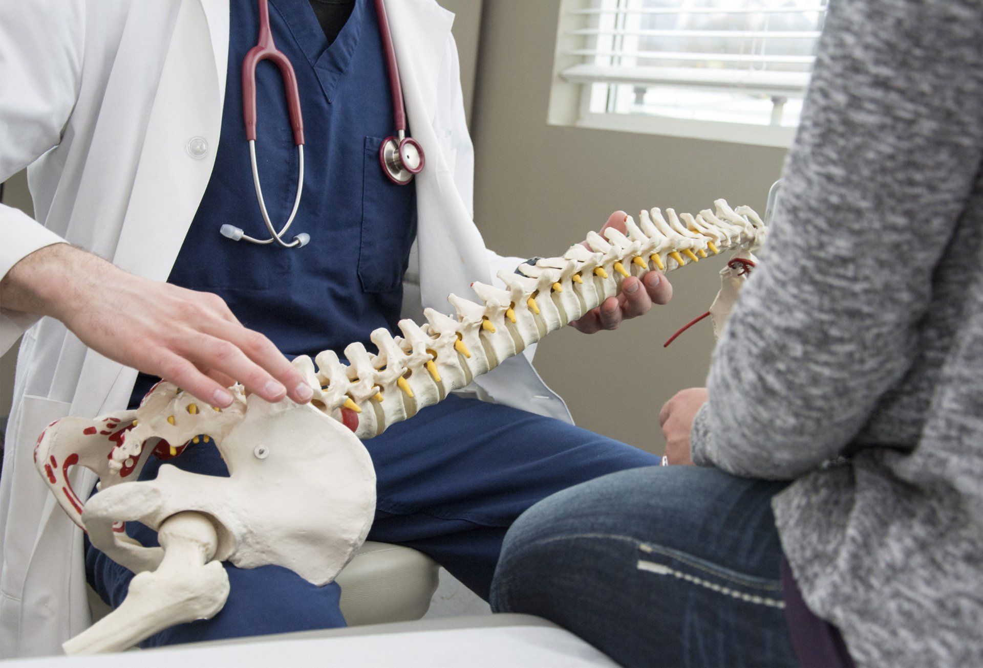 A doctor is showing a model of a spine to a patient.
