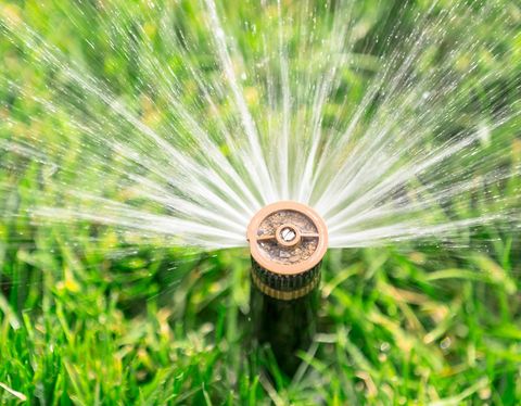 Water Sprinkler On Garden — Hemet, California — Joseph's Landscape Co. Inc.