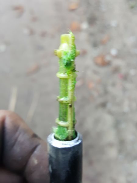 Wall of Shane Gallery | Auto Check Automotive Ltd.