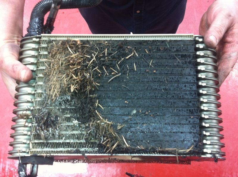 Wall of Shane Gallery | Auto Check Automotive Ltd.