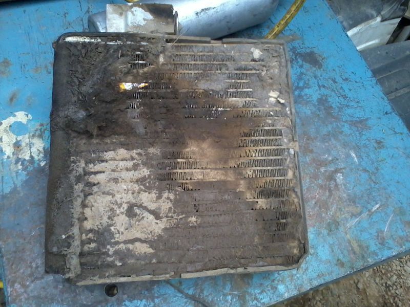 Wall of Shane Gallery | Auto Check Automotive Ltd.