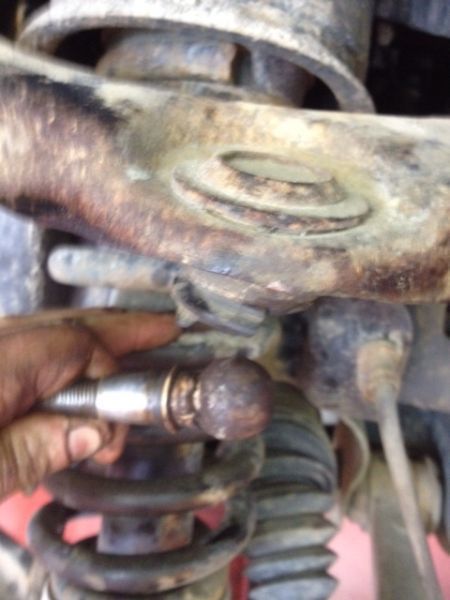 Wall of Shane Gallery | Auto Check Automotive Ltd.