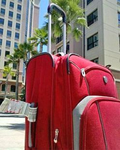 Red rolling suitcase, on a sunny day in front of a high-rise building and palm trees.