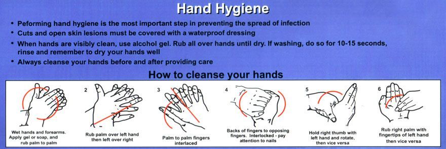 Hand hygiene instructions with hand washing steps in sequential order.