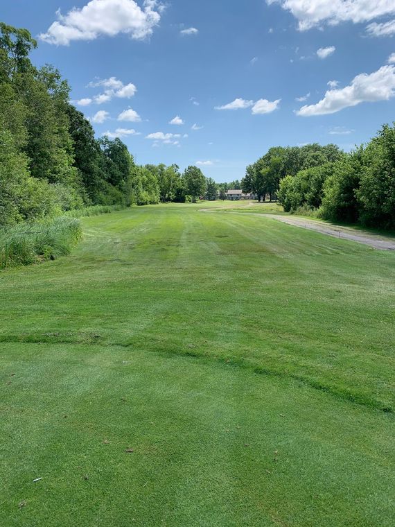 A view down a mowed grassy fairway or lane framed by dense green trees under a bright blue sky with scattered clouds.