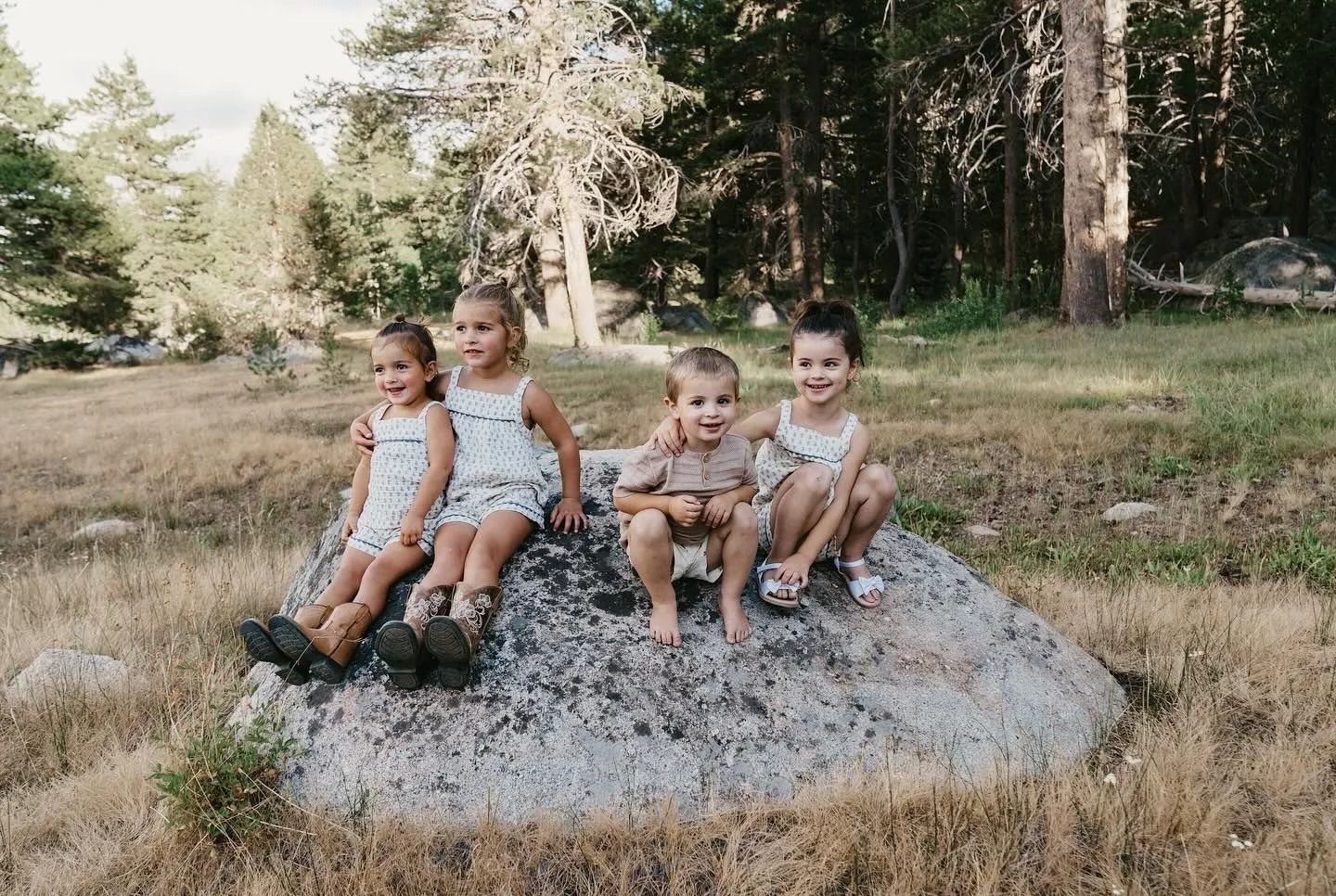 Four children sit together on a large rock in a grassy forest clearing.