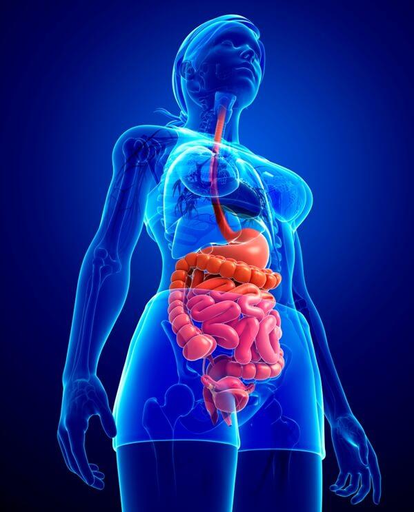 CENTRO MÉDICO DE GUAMÚCHIL SA DE CV – GASTROENTEROLOGÍA