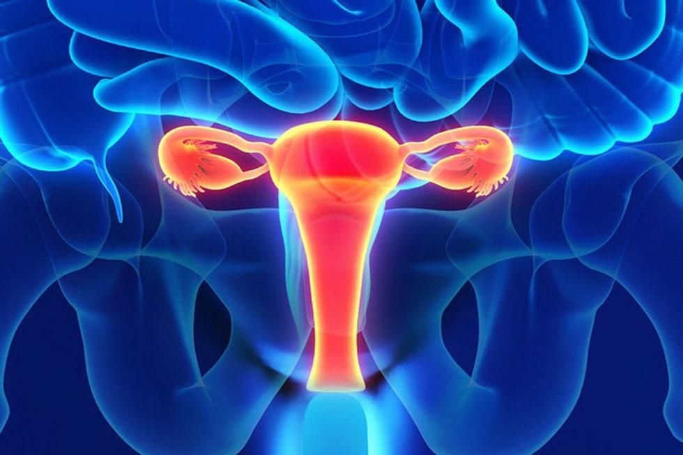 CENTRO MÉDICO DE GUAMÚCHIL SA DE CV – ULTRASONIDO 3D