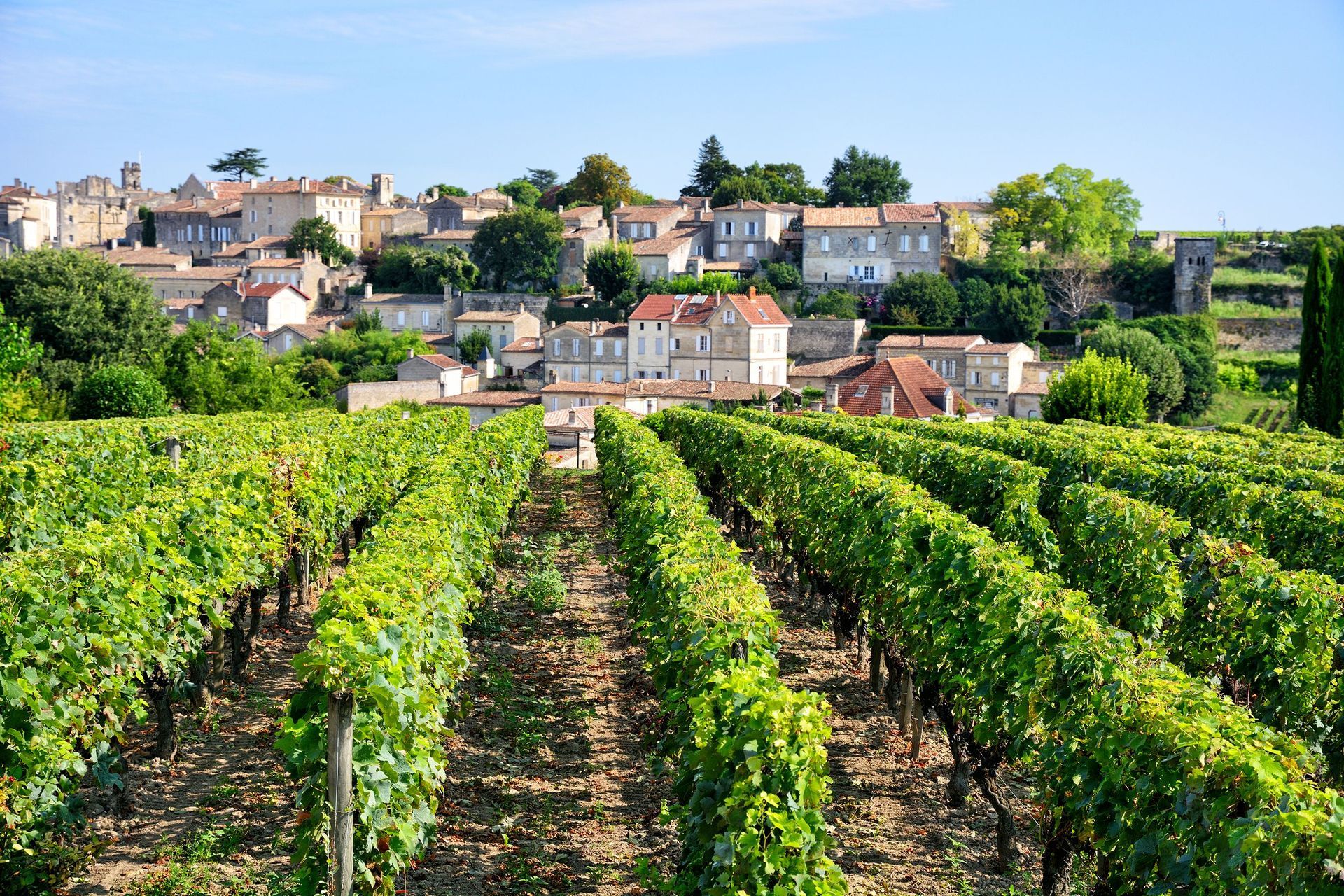 Vineyard rows in front of a village with stone buildings and red-tiled roofs under a blue sky. Bordeaux