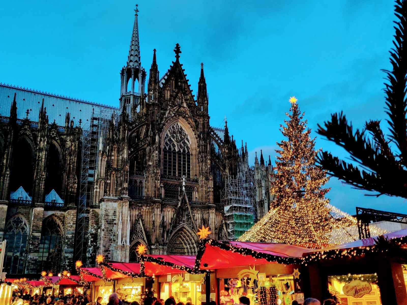 Cologne Cathedral at dusk with a Christmas market in the foreground, illuminated stalls and tree.