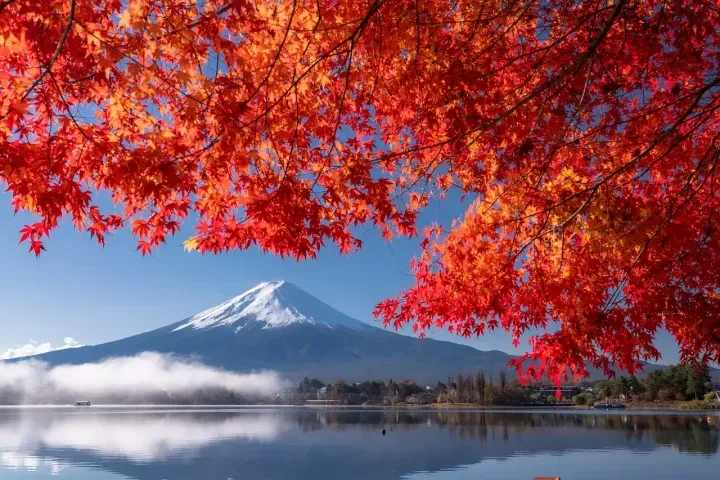 Mount Fuji reflected in a lake, framed by vibrant red autumn foliage under a clear blue sky.