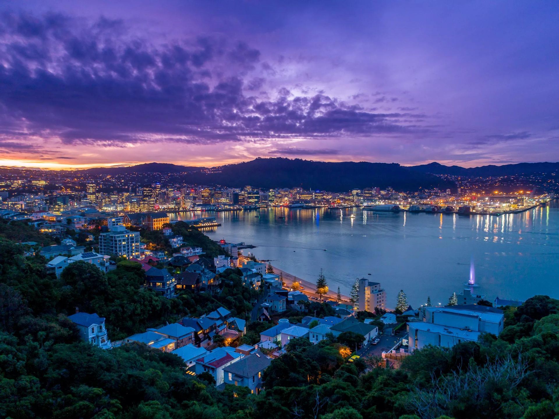 A twilight view of Wellington, New Zealand, overlooking the harbor with city lights reflecting in the water.