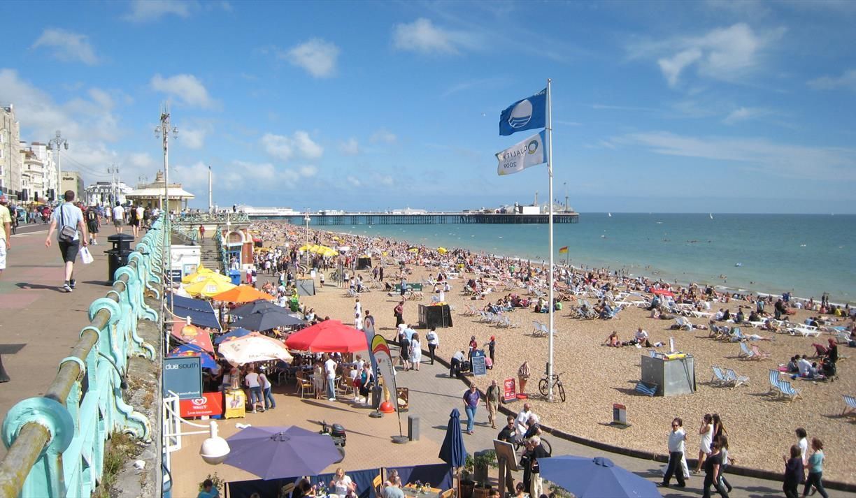 Brighton beach scene: People on a crowded pebble beach under a blue sky, pier in the distance.