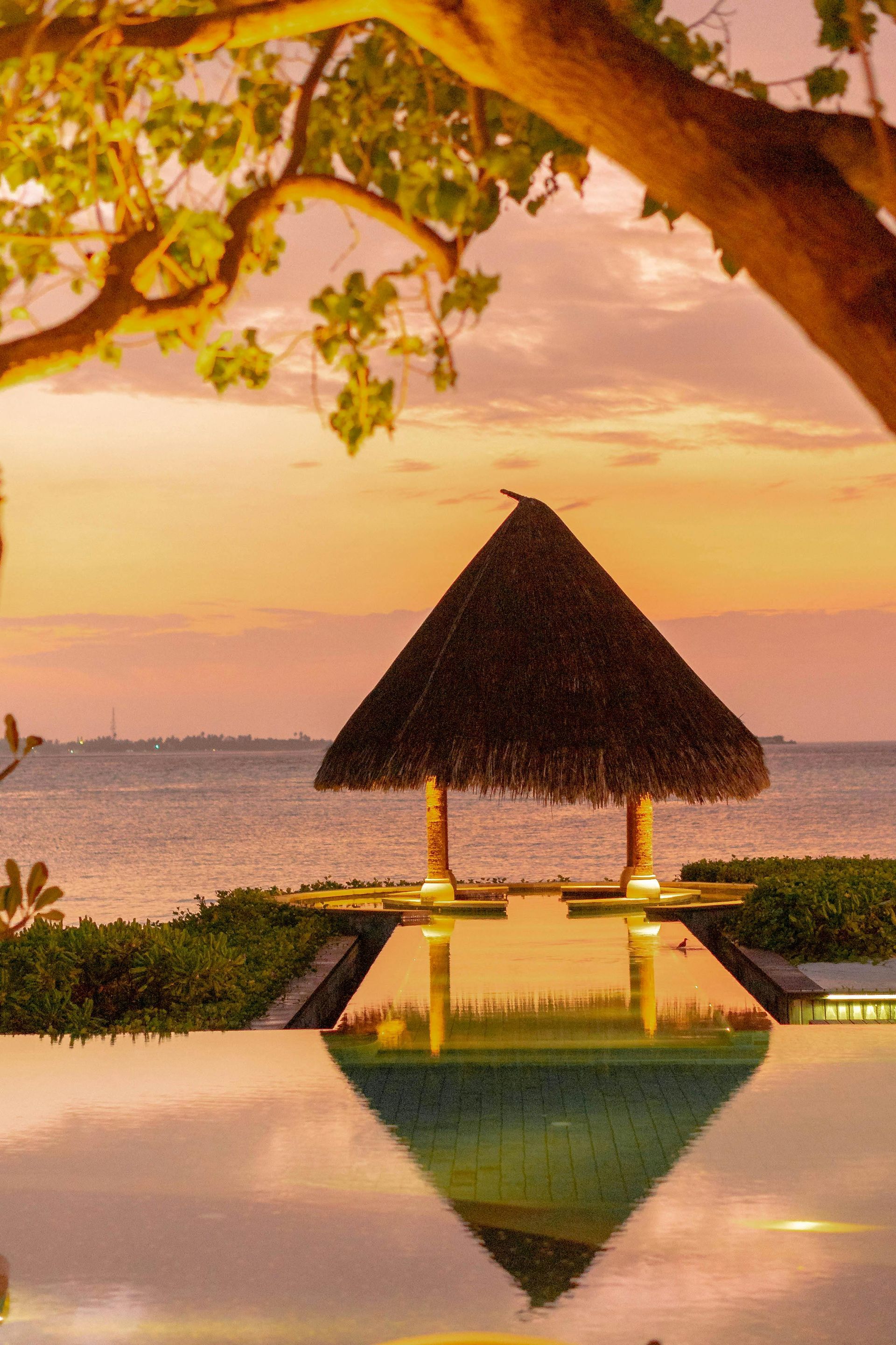 Gazebo over a pool reflecting the sunset sky and ocean. Tree branch in the upper frame.
