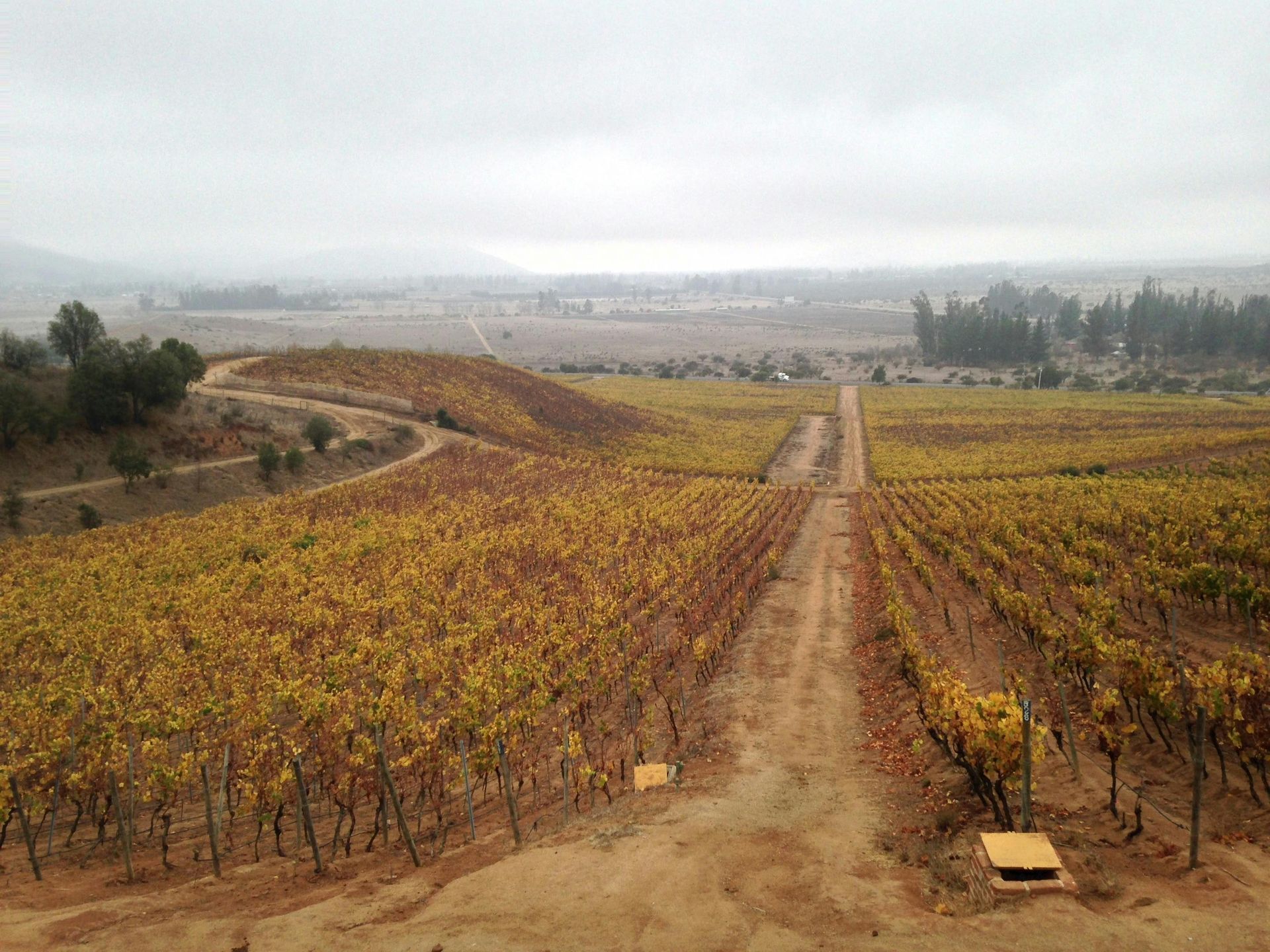 LGBT Wine Tours in Chile