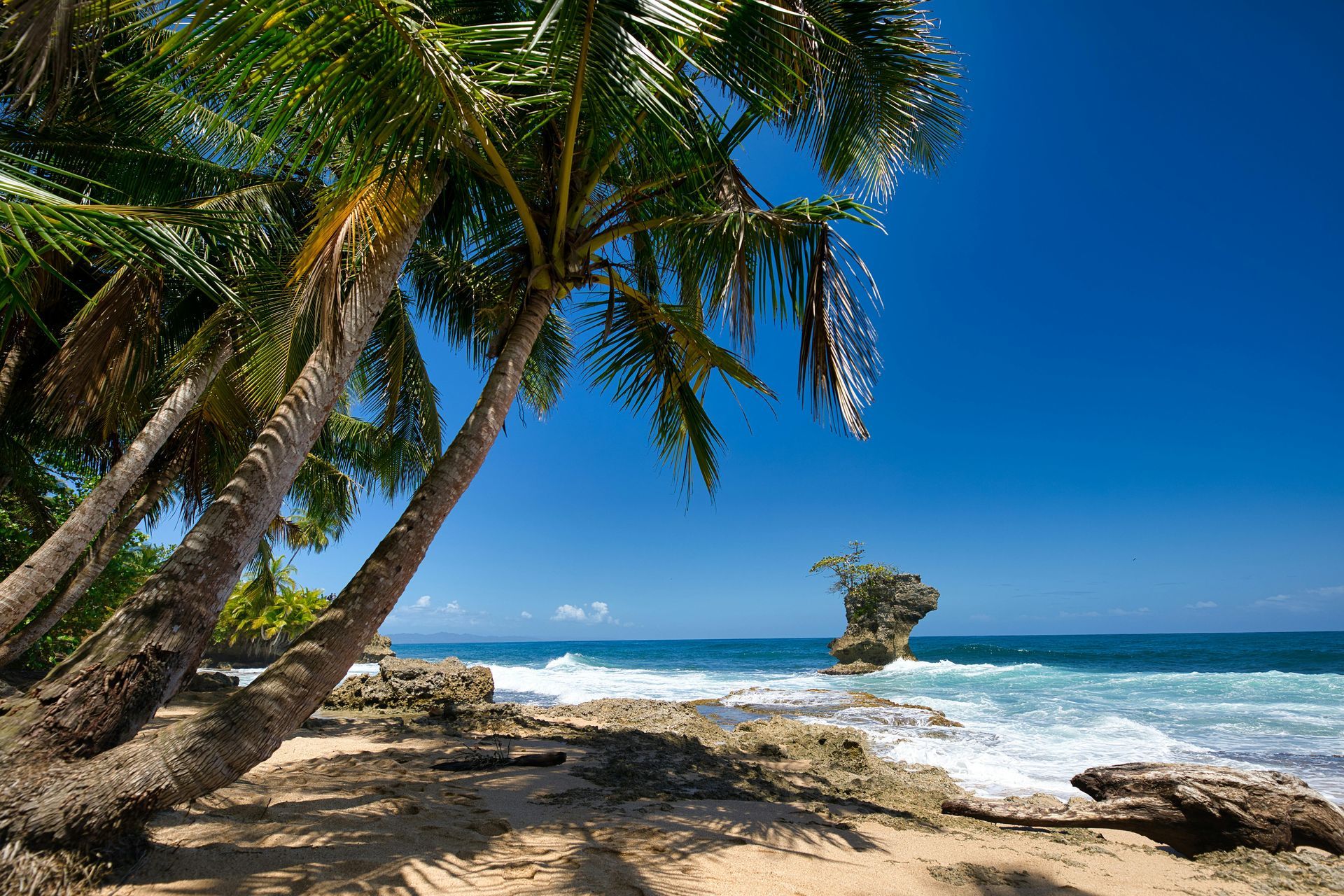 Palm trees on a sandy beach, ocean waves, blue sky, and a small rock formation in the water.