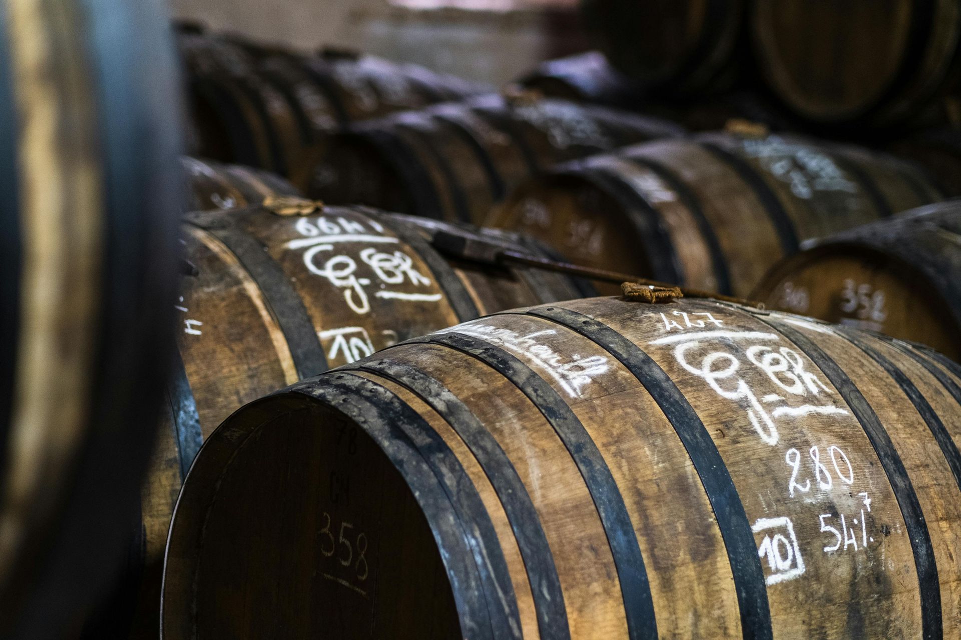 Wooden barrels stacked in a dimly lit cellar, some with markings. Sonoma & Napa Valley: California’s Gay Wine Capital