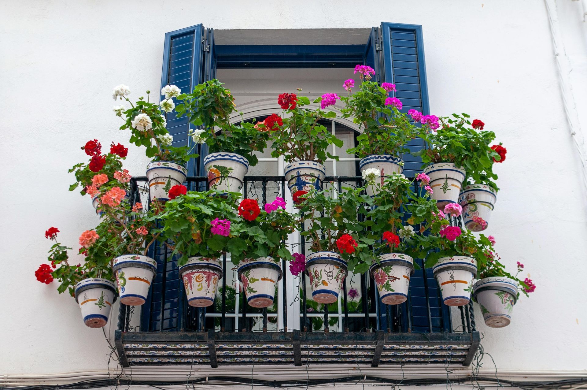Balcony overflowing with potted flowers in white and red against a blue shuttered window. Sitges