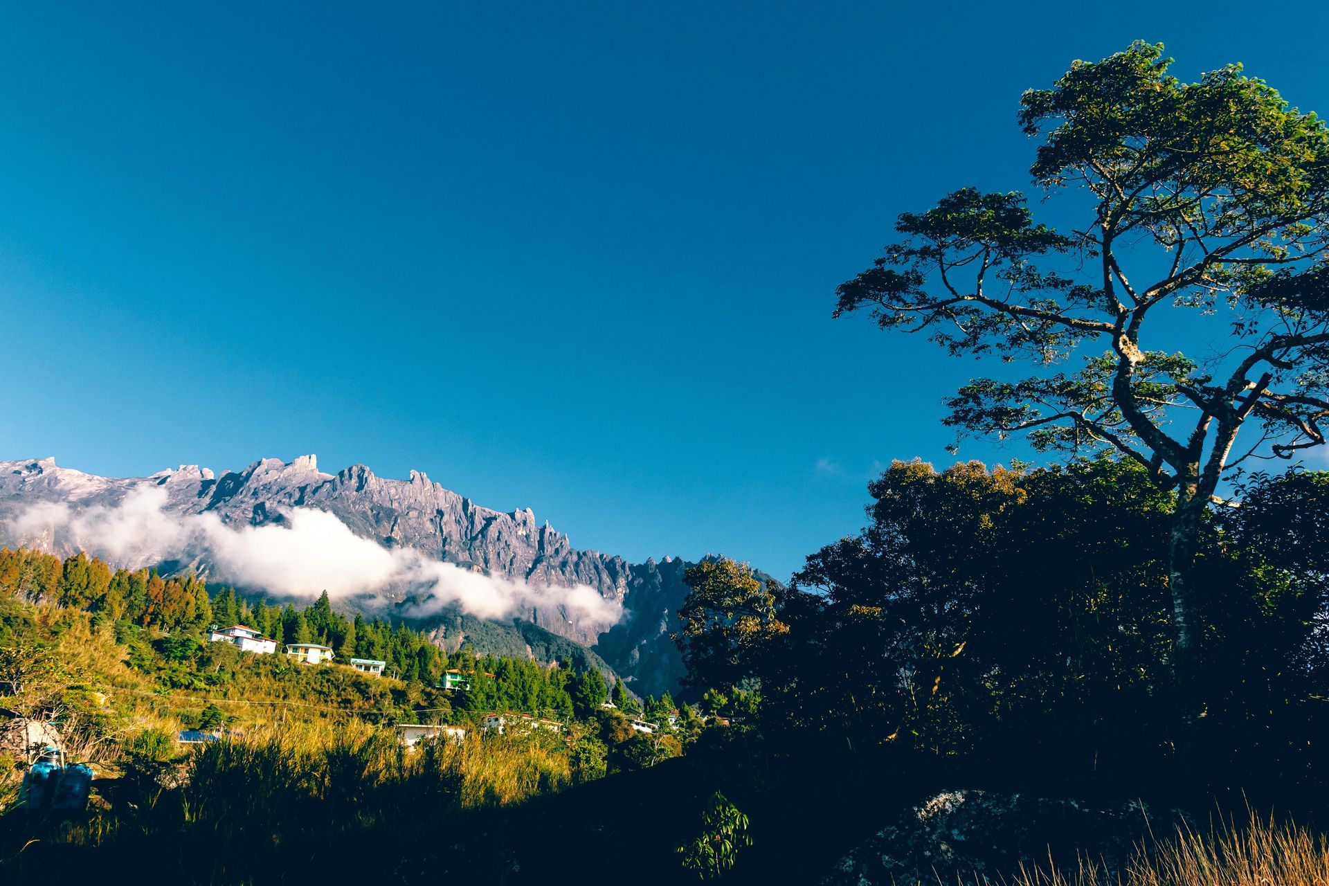 Mountain range under blue sky; trees in foreground, white clouds. Mount Kinabalu