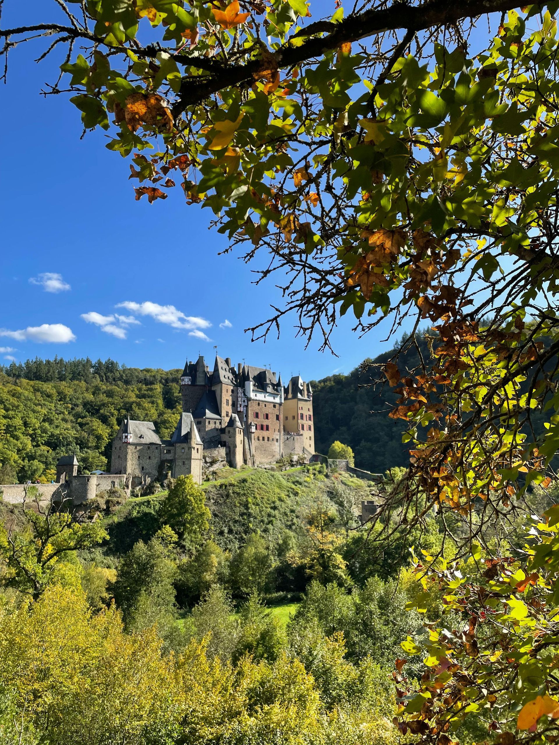 LGBT Wine Tours in Germany