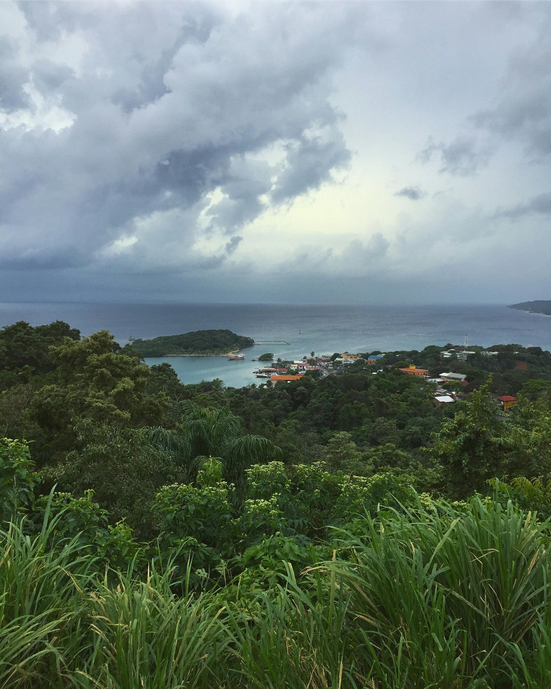 Overlooking a lush green forest, a coastal town sits beside a calm ocean under a cloudy sky.