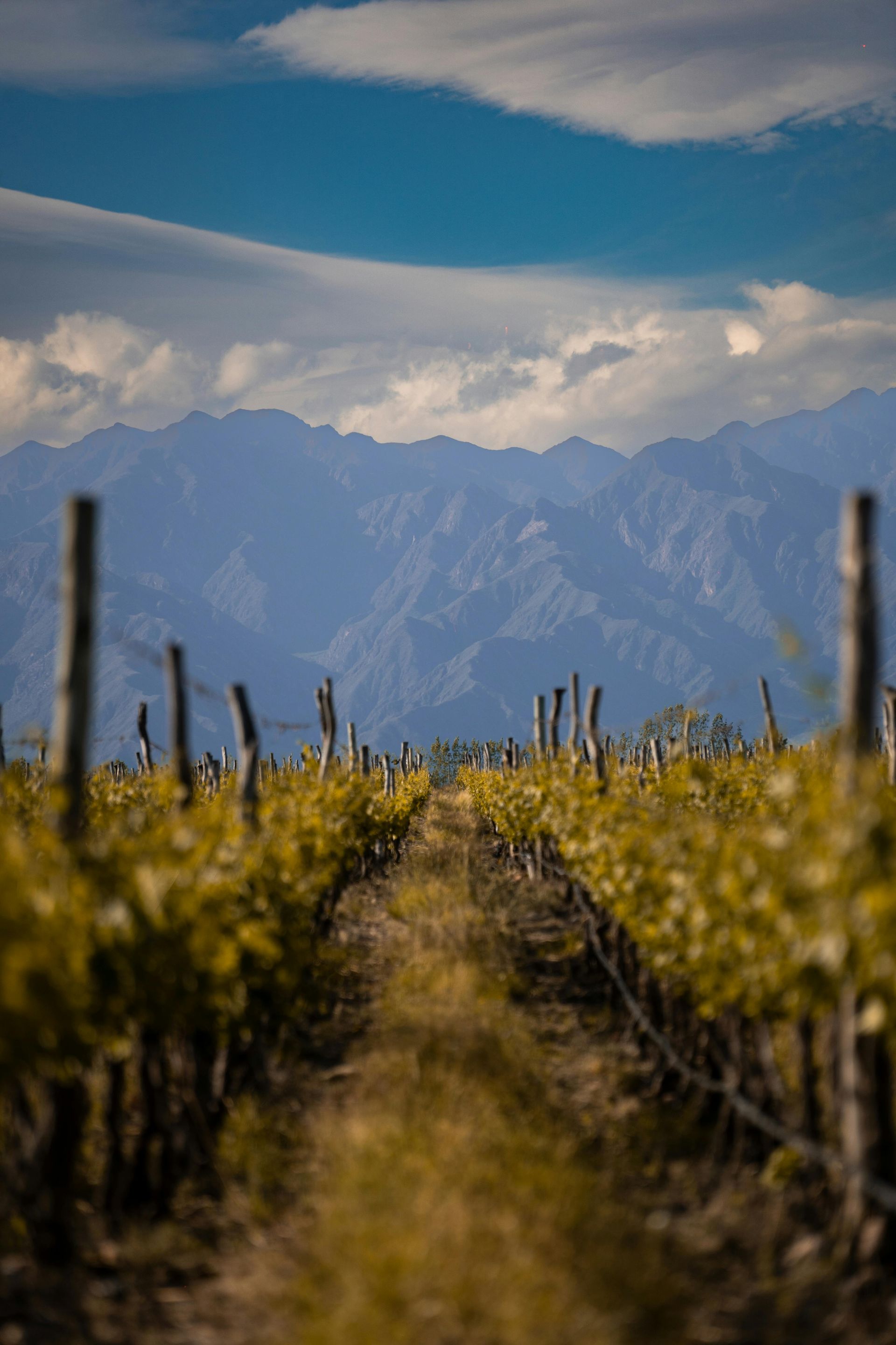 LGBT Wine Tours in Argentina