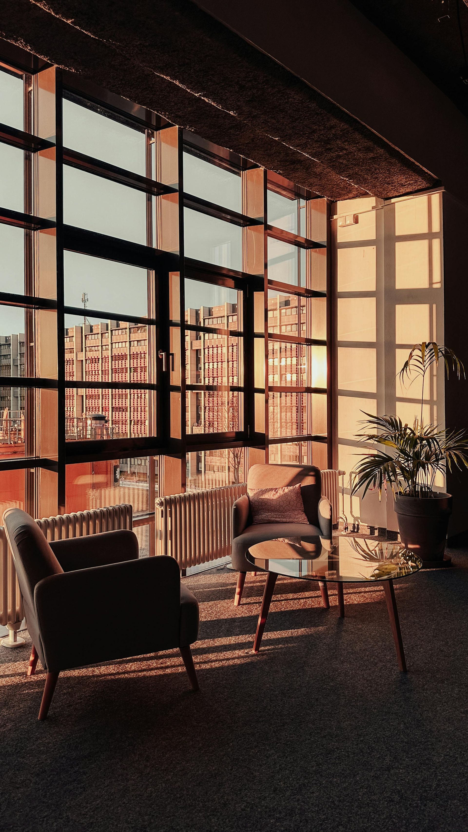 Cozy reading nook with two armchairs, small table, potted plant, large window looking out on a city at sunset. The Axel Hotel Berlin – Style in the Heart of Schöneberg