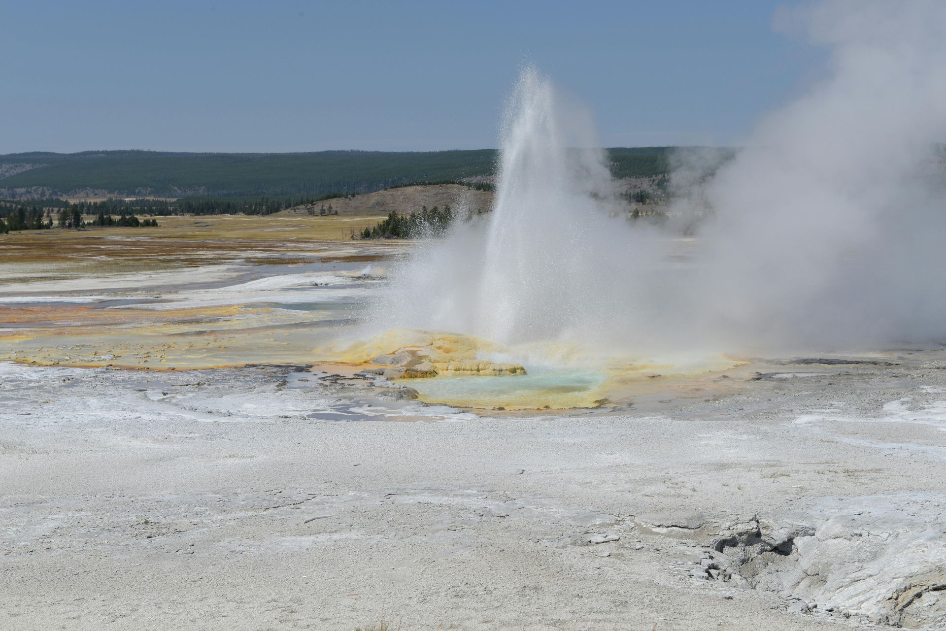 A geyser erupts with steam and water against a background of a vast, arid, yellowish landscape under a clear blue sky.