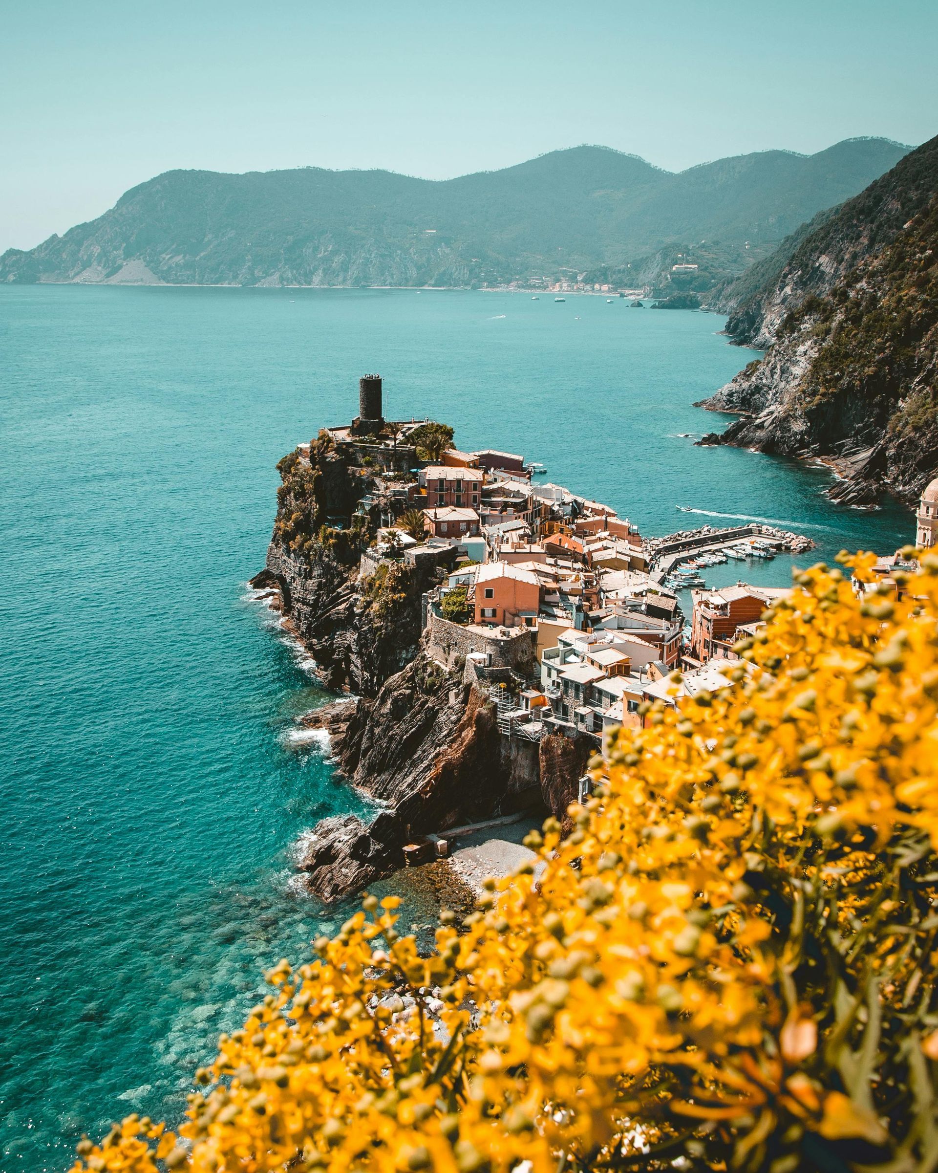 Coastal Italian town with colorful buildings, turquoise water, and mountains. Yellow flowers in the foreground. Cinque Terre