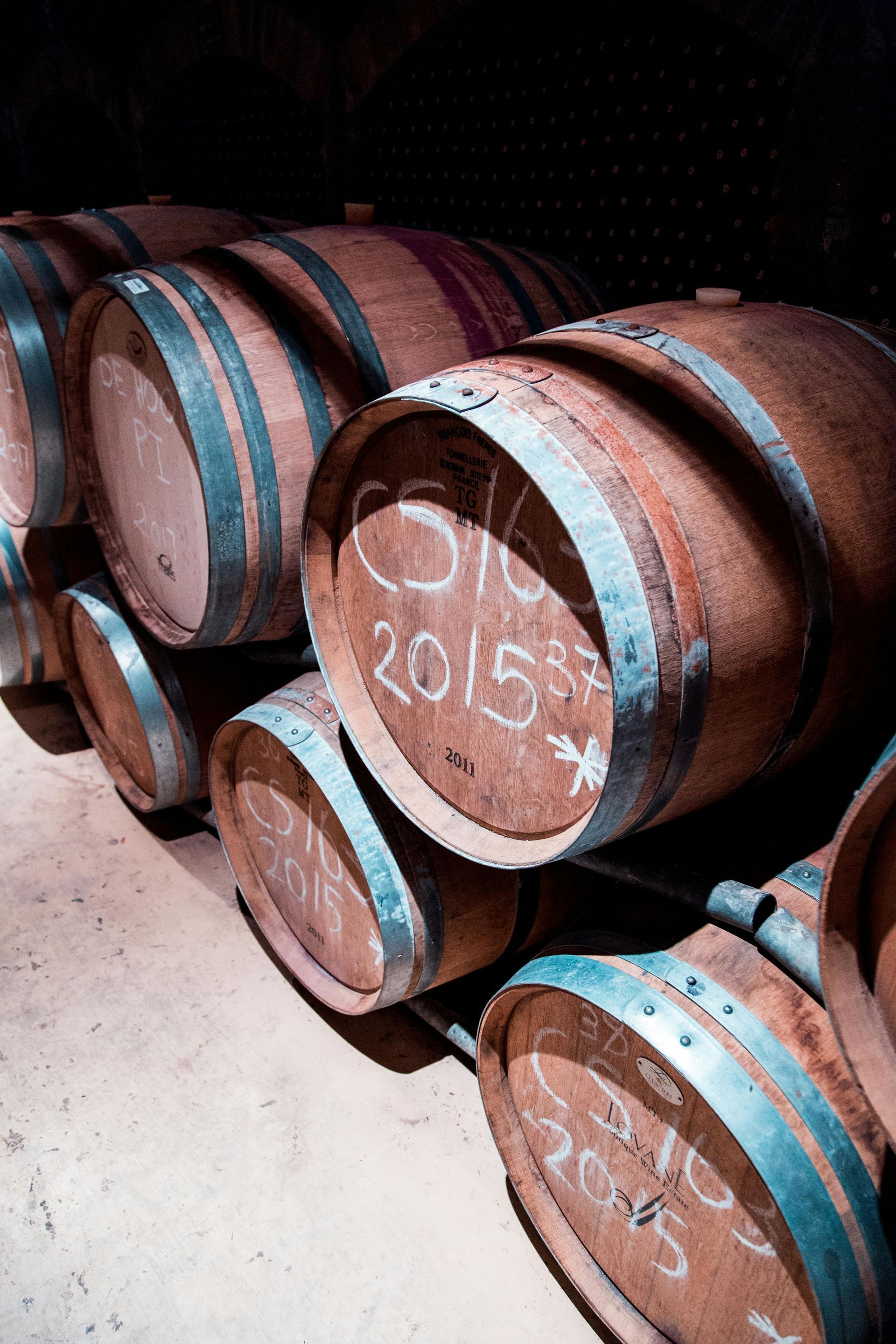LGBT Wine Tours in South Africa