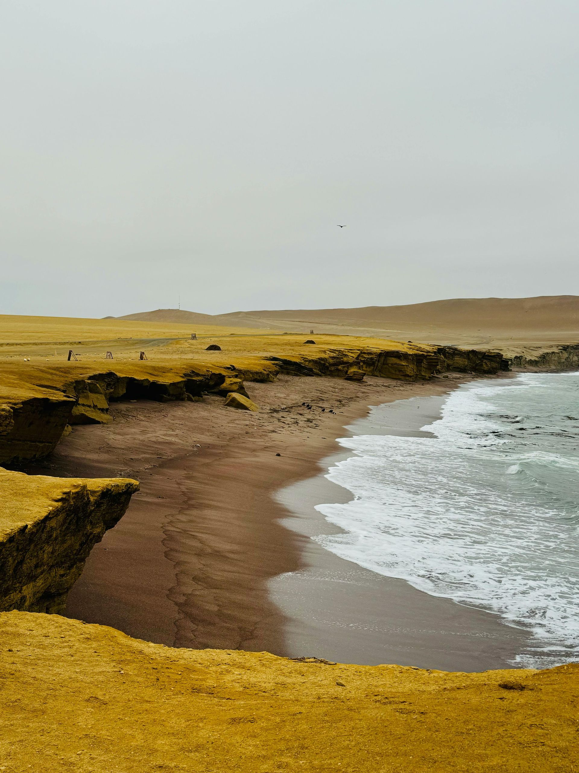 Golden cliffs overlook a sandy beach where waves meet the shore under a cloudy sky.