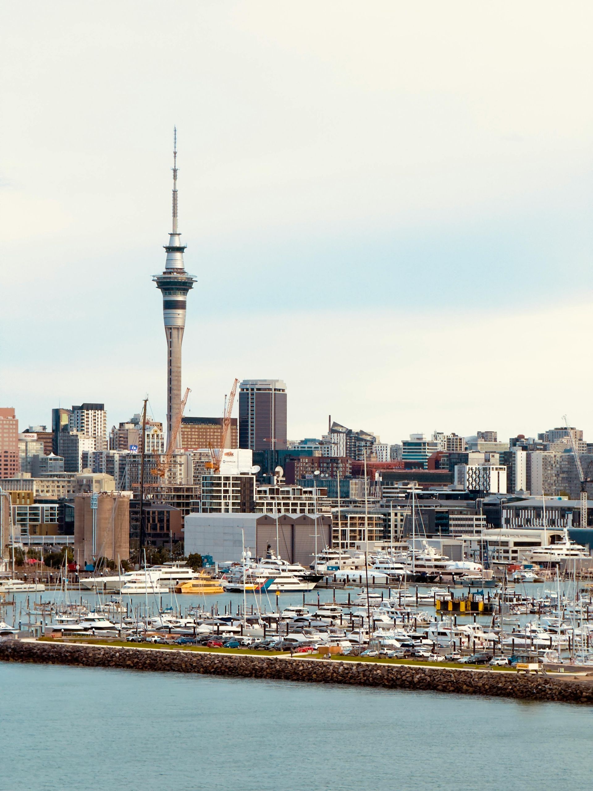 The Auckland skyline featuring the Sky Tower, viewed across a harbor filled with docked boats and a rocky pier.