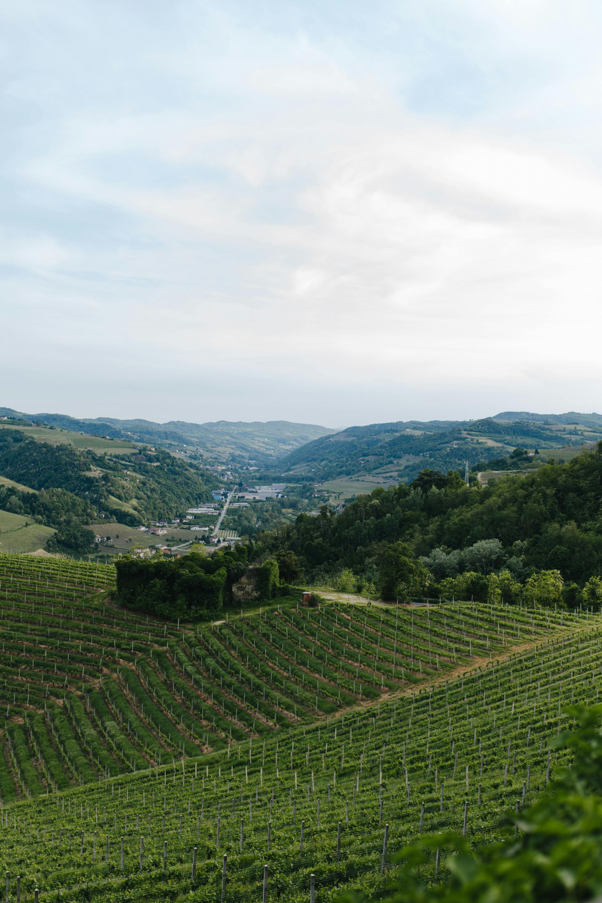 LGBT Wine Tours in Australia