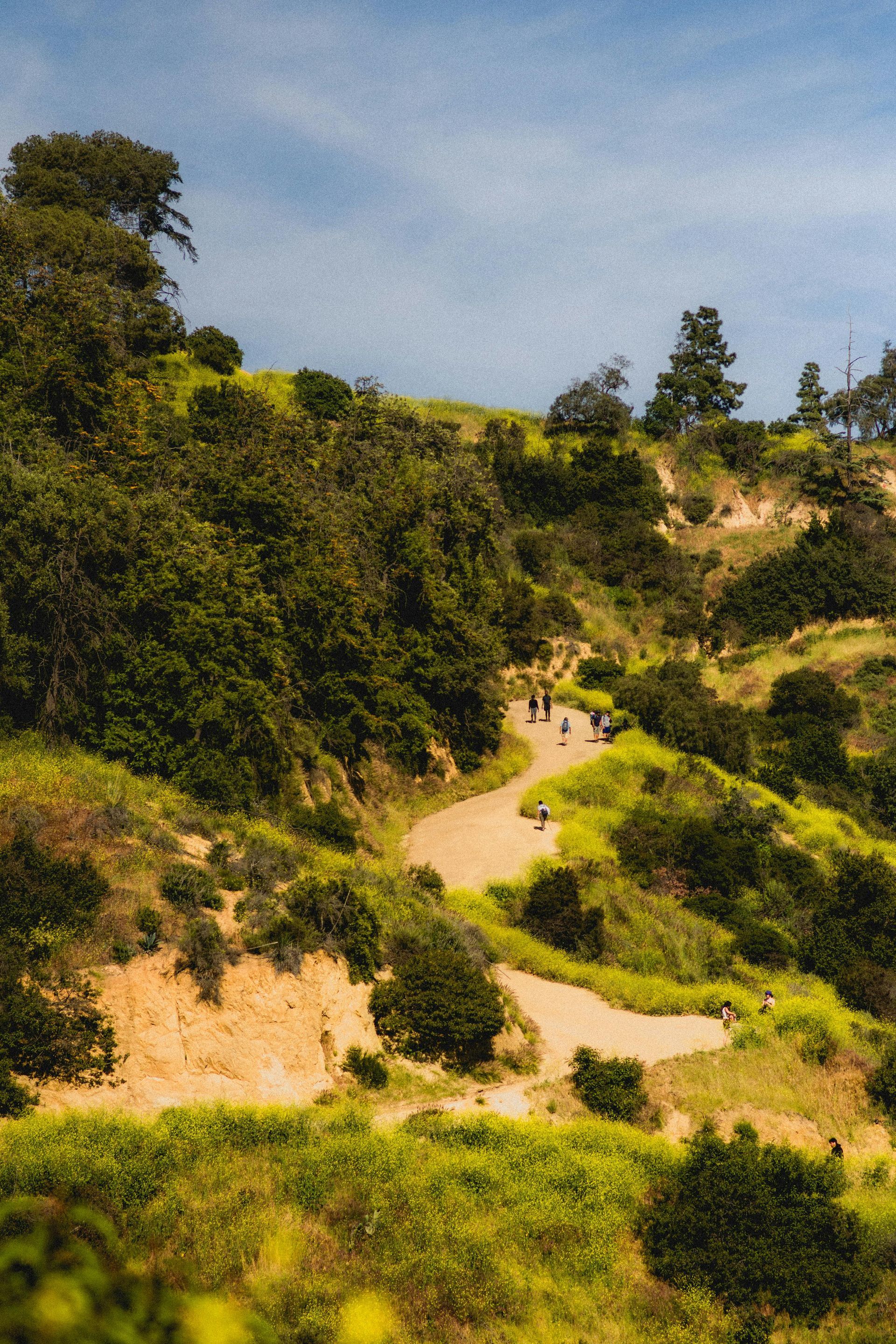 Hiking trail winding up a green hillside, with people walking; blue sky. Pacific Crest Trail, California to Washington, USA