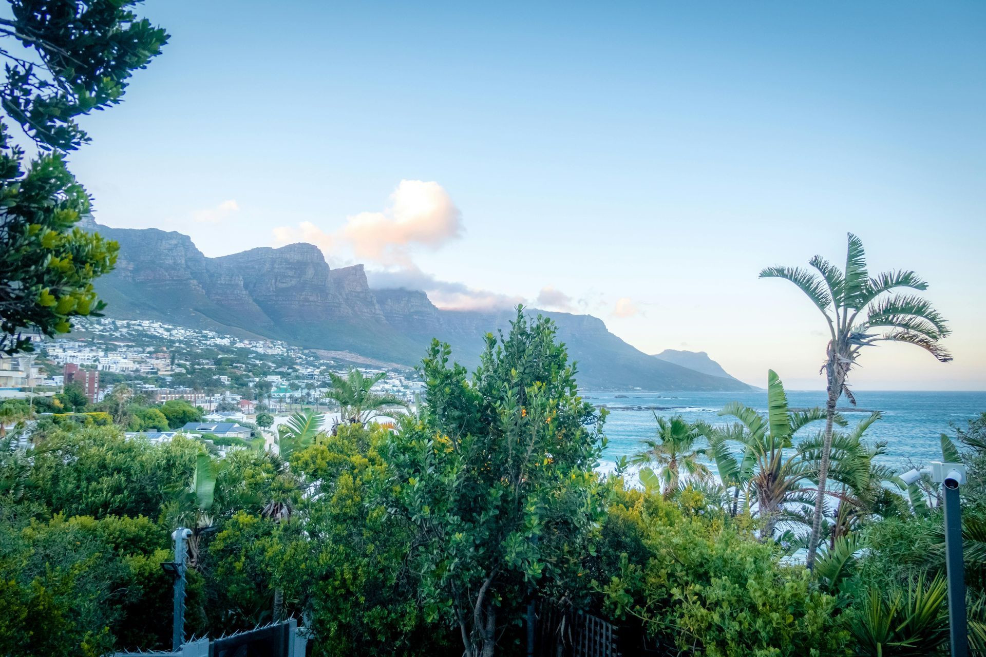 Coastal view with mountains in the background, green trees and palm trees, and the blue ocean.
