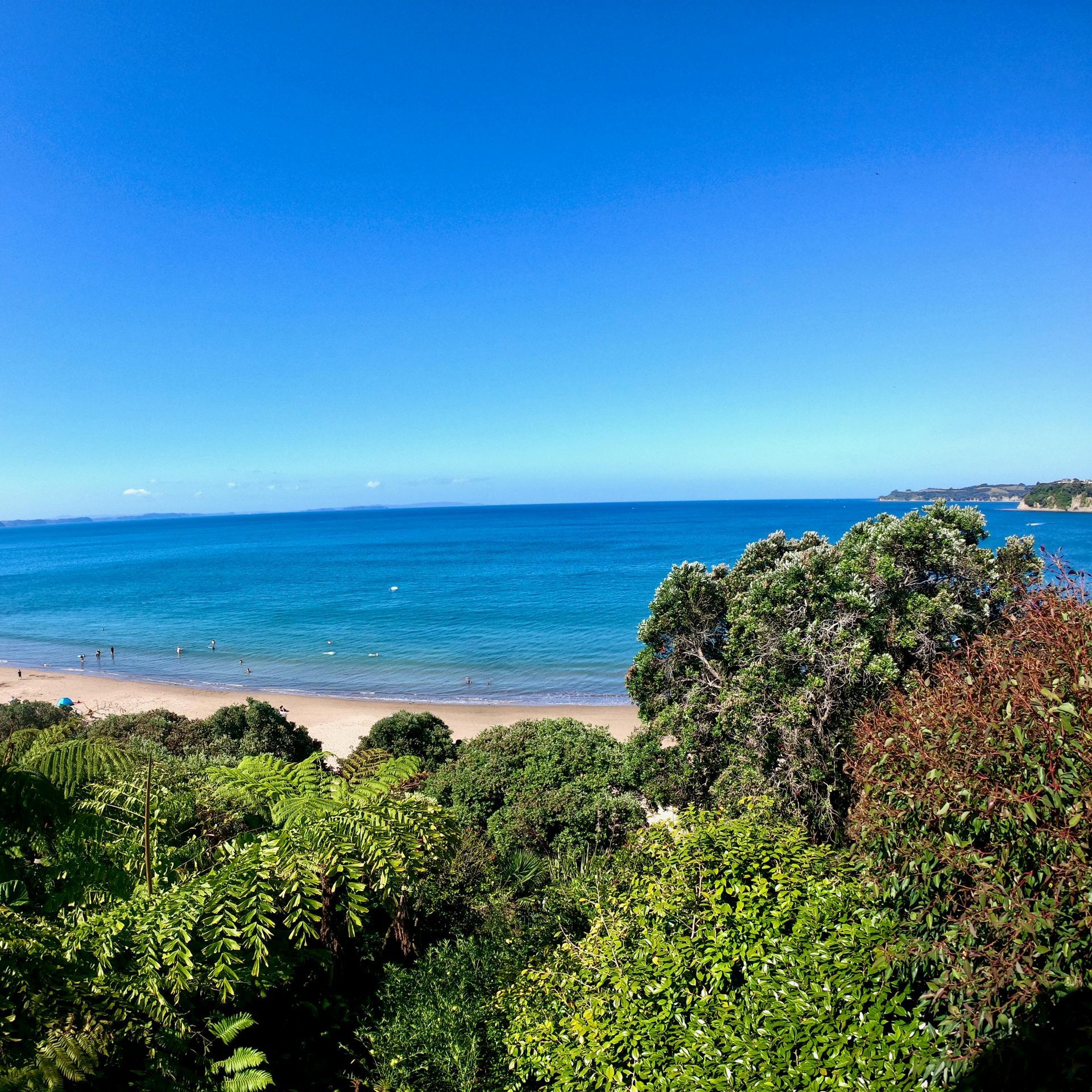 Lush green trees and bushes frame a view of a sandy beach, turquoise ocean, and clear blue sky under bright sunlight.