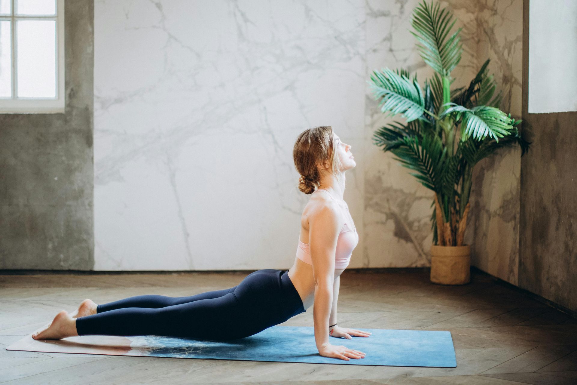 Woman in upward-facing dog pose on a yoga mat, near a potted plant and window.