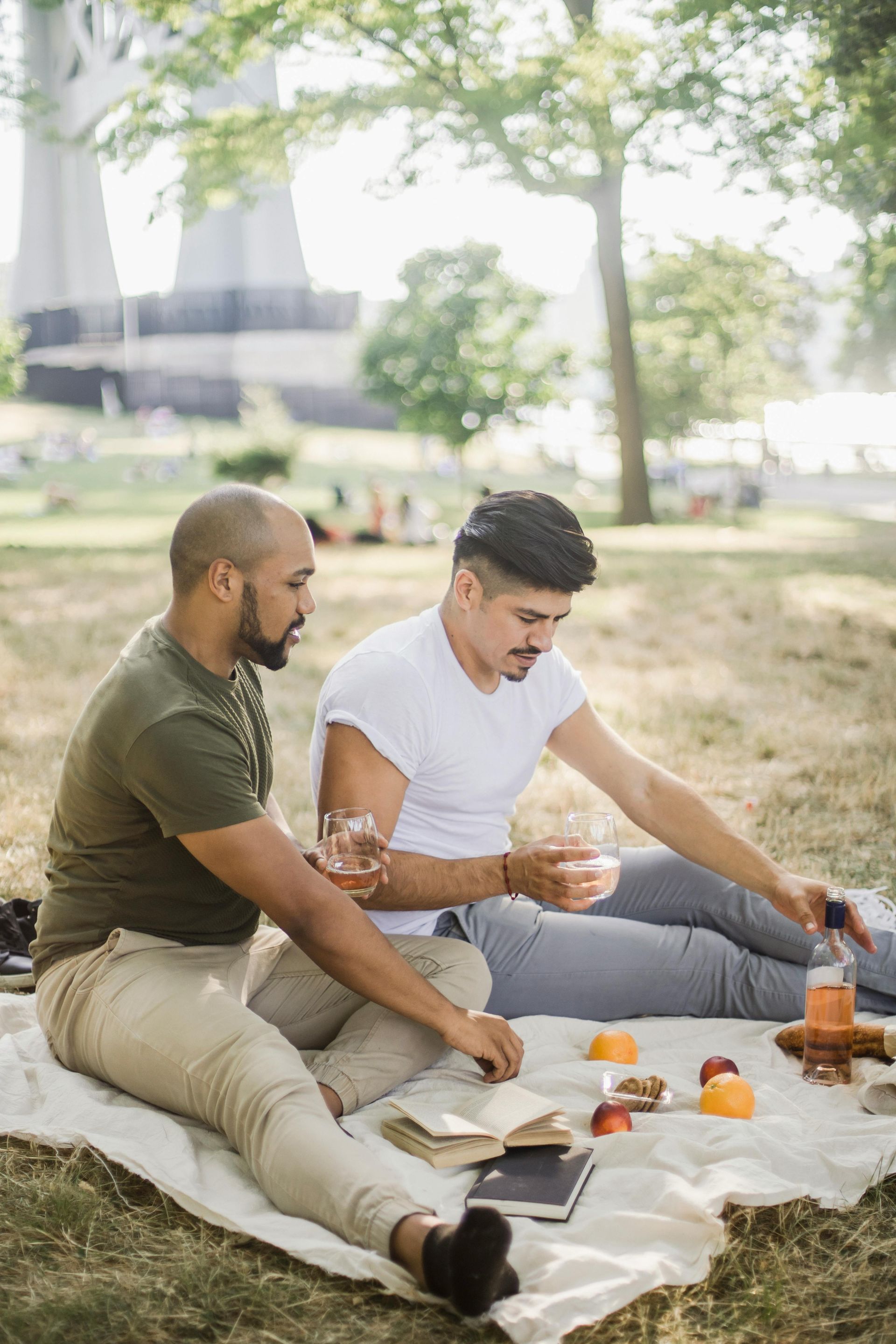 Two people sit on a blanket in a park, holding glasses and having a picnic near a bridge.