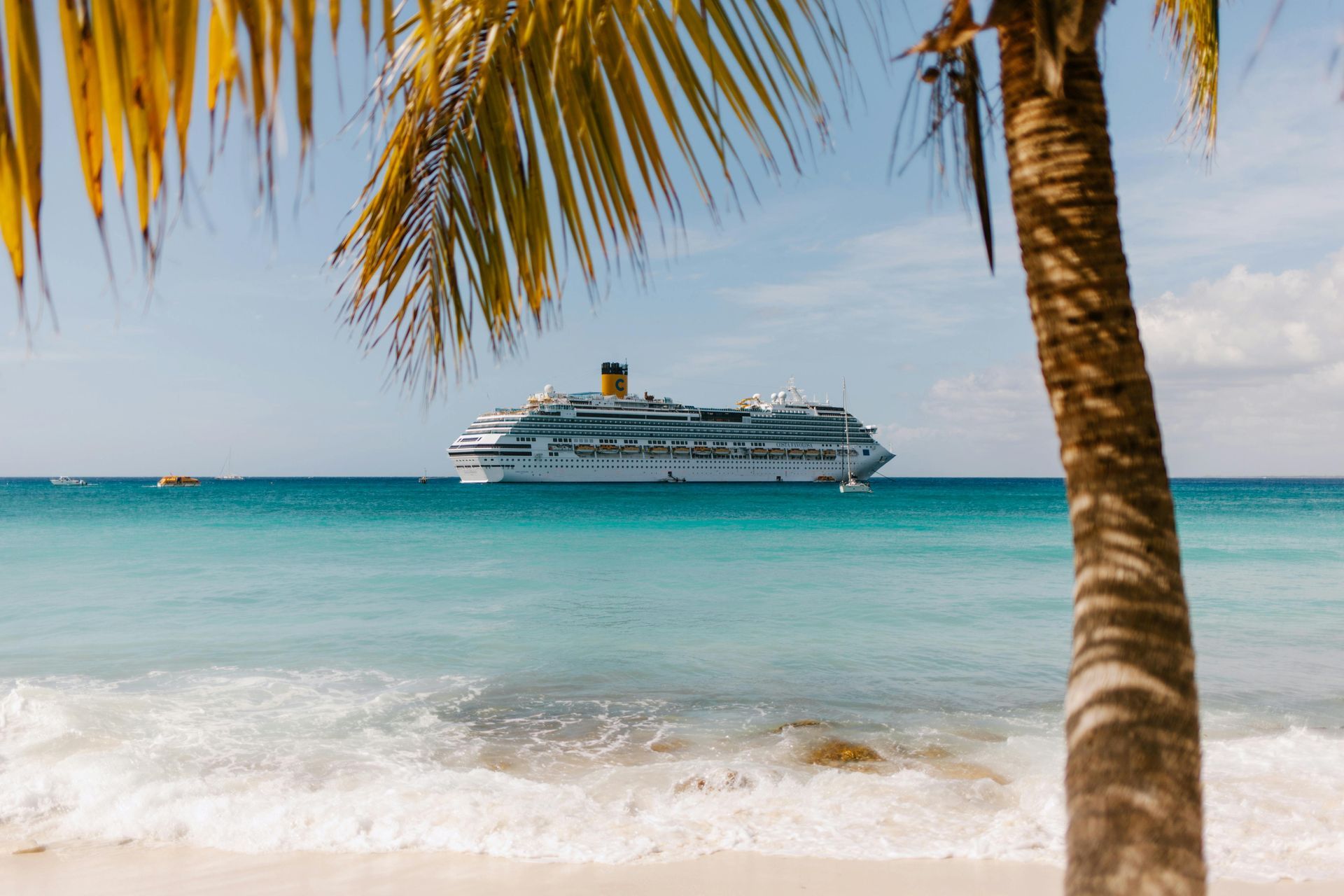 Beach scene with cruise ship on the horizon, palm tree in foreground, blue sea, white sand, and sunny sky.