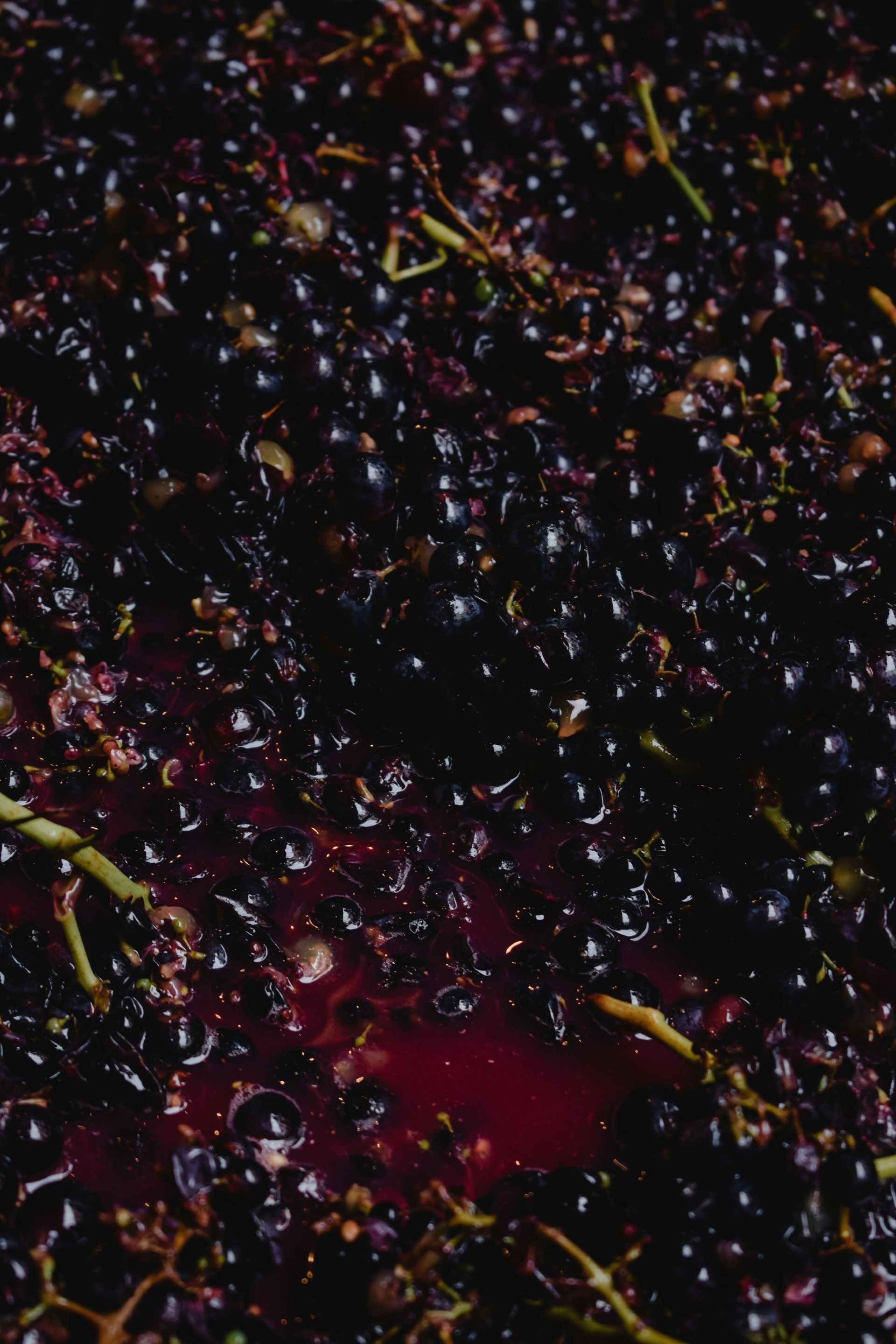 LGBT Wine Tours in Portugal