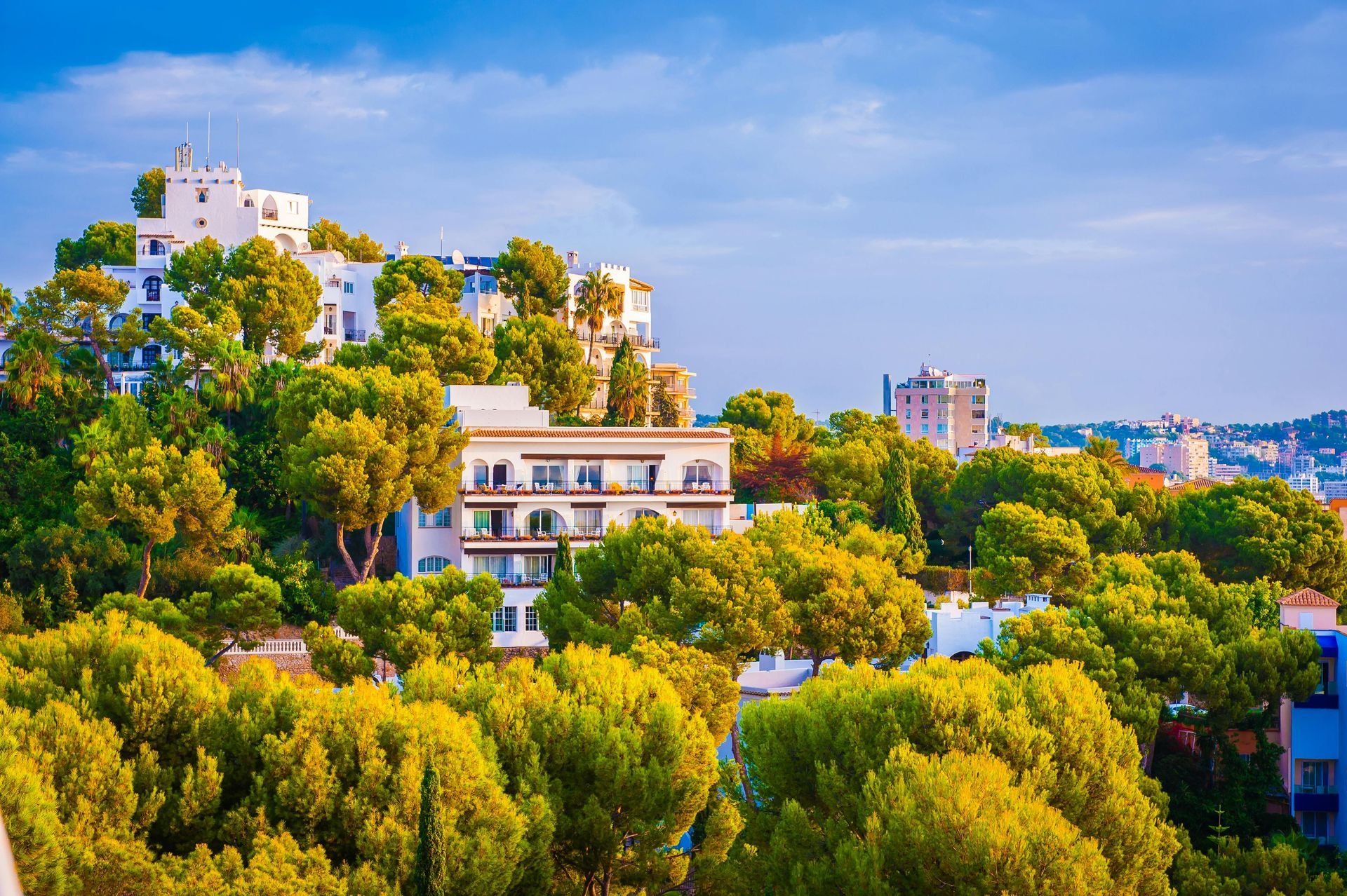 White building nestled in lush green trees under a blue sky, cityscape in the distance.