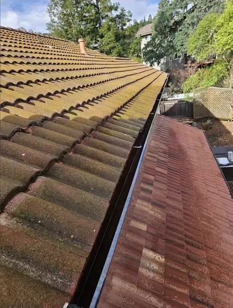 Brown roof tiles covered in moss, beside a dark gutter and red roof shingles. Trees and building visible in background.
