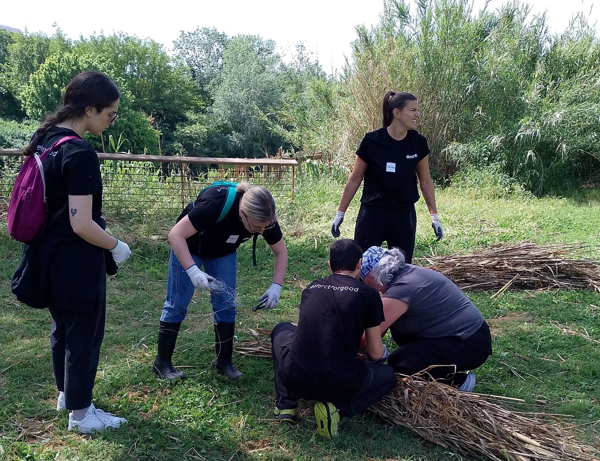 Volontari durante una giornata di volontariato aziendale lavorano alla pulizia del parco Tevere Magliana