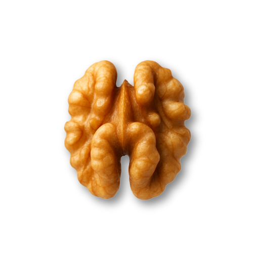 Half of a walnut, light brown with textured surface, on a white background.