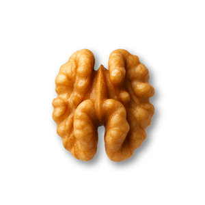 Half of a walnut, light brown with textured surface, on a white background.