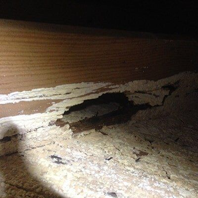 Molded Floor — Home Services Foundation Repair in Fordyce, AR